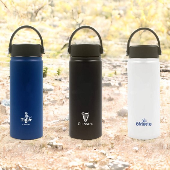 Stainless Steel Thermal Bottle with Handle